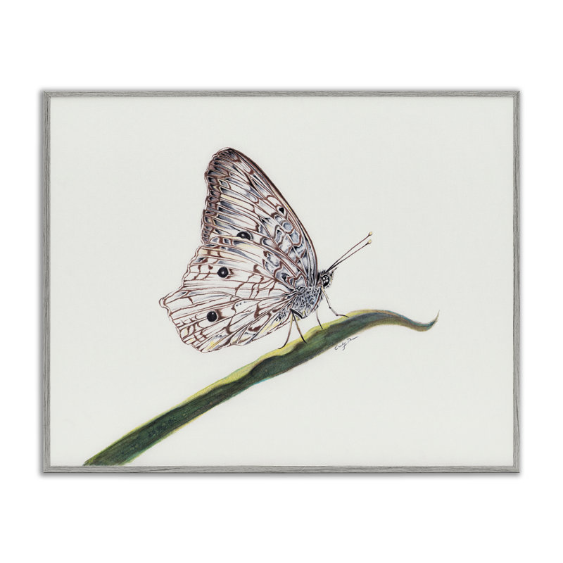 «Intricate Butterfly on Twig», giclée encadrée, design par Cady, Estampe numérique Farmhouse, H 11 po x l 14 po