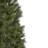 6.5' Pre-Lit Pine Christmas Tree