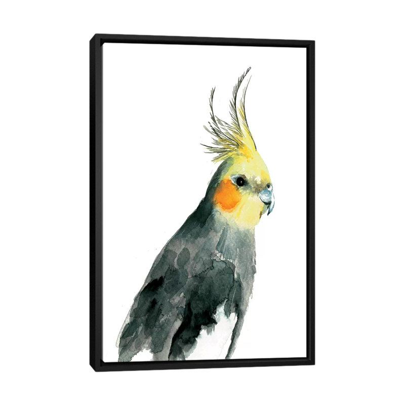 «Cockatiel II», reproduction sur toile, H 26 po x l 18 po x P 1,5 po, Toile avec cadre noir, Pas de tapis