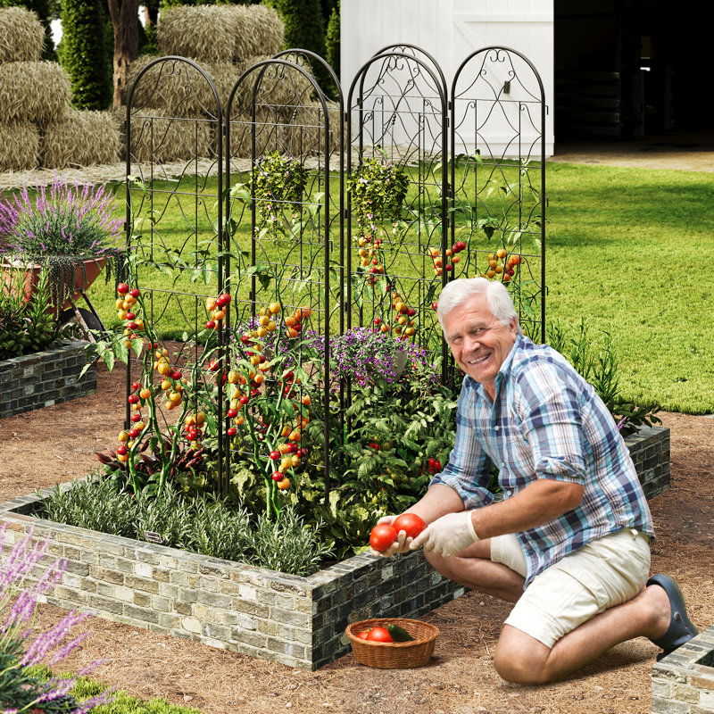 75 panneaux de treillis de jardin en métal de 75 pouces de haut, 4 pièces