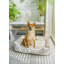Terrill Velour Pet Bed-207514849