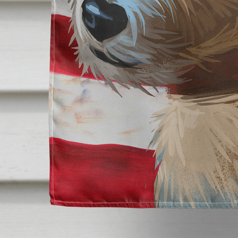 Polyester à 2 côtés 28 x 40 po drapeau maison, Podengo portugais