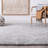 Sisler Performance Indoor Rug-1576776117