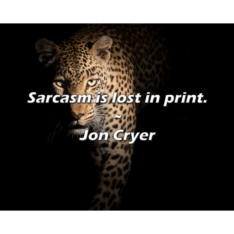 Citation de Jon C Dryer: «Sarcasm is found in print».