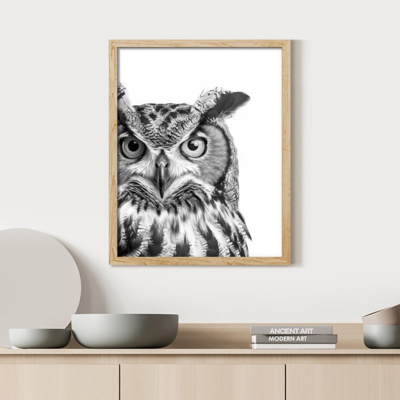 "Photographie de hibou noir et blanc" sur, Naturel, H 10 po x l 8 po
