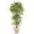 63'' Faux Ficus Tree in Stone Planter