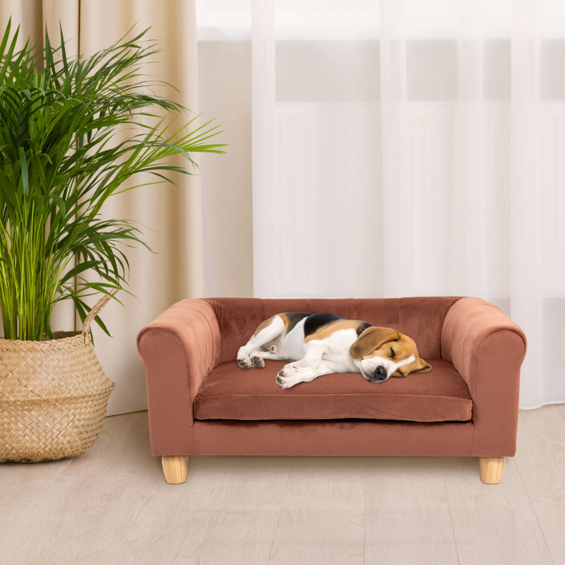 Lit pour chien Critter Sitter, Brun