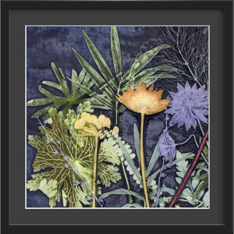 Gillian Arnold - Single Picture Frame Print