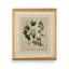 Cottage Florals I Framed Graphic Art