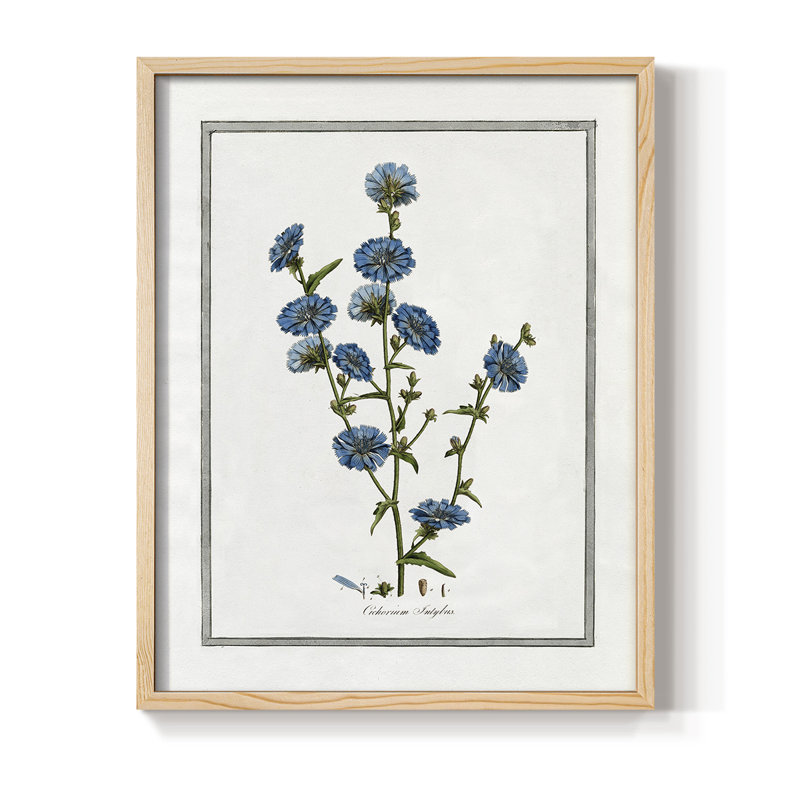 «Soft Botanical I», reproduction encadrée - bois massif, Naturel, H 11 po x l 9 po