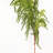 4" Norfolk Pine Christmas Garland