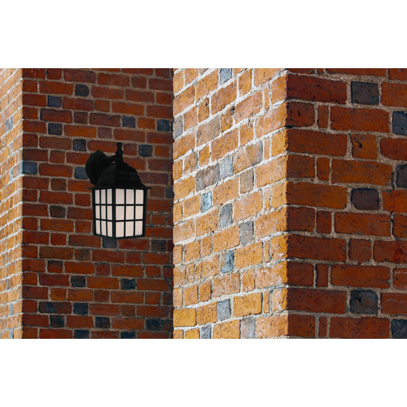 Lanterne murale d'extérieur 1 lumière Gerald