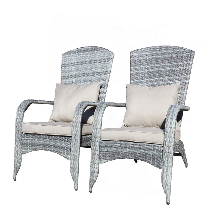 Patio Chair With Cushions( Grey Cushion), Gray, Gray