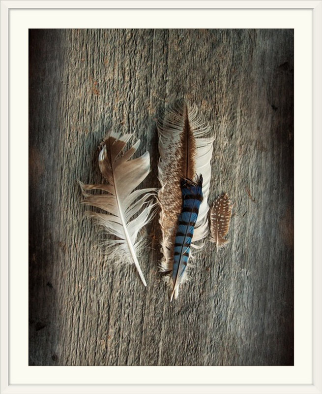 «Feather Collection III» par Sue Schlabach, reproduction de photo, H 23 po x l 20 po x P 1 po, Cadre blanc