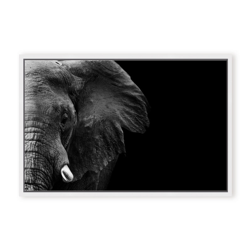 Nature Inspired Elephant by  - Picture Frame Photograph on Paper, Framed Canvas, 16" H x 24" W x 2.375" D, Gold
