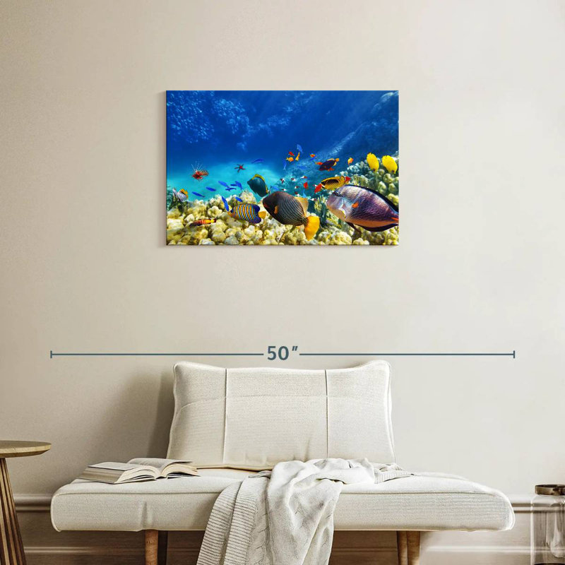 Brampt Marine Life, H 20 po x l 30 po