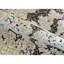 Safari Animal Print Area Rug-48481082
