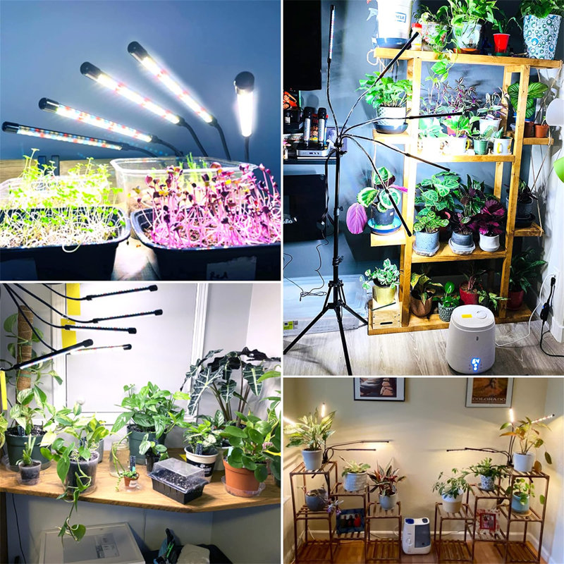 Maker Network Grow Light