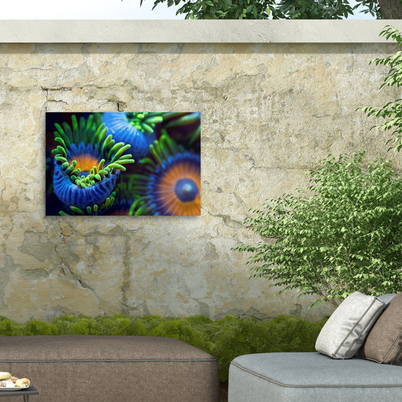 "Les couleurs du récif II" sur toile par Santiago Pacual Buye, H 22 po x l 32 po