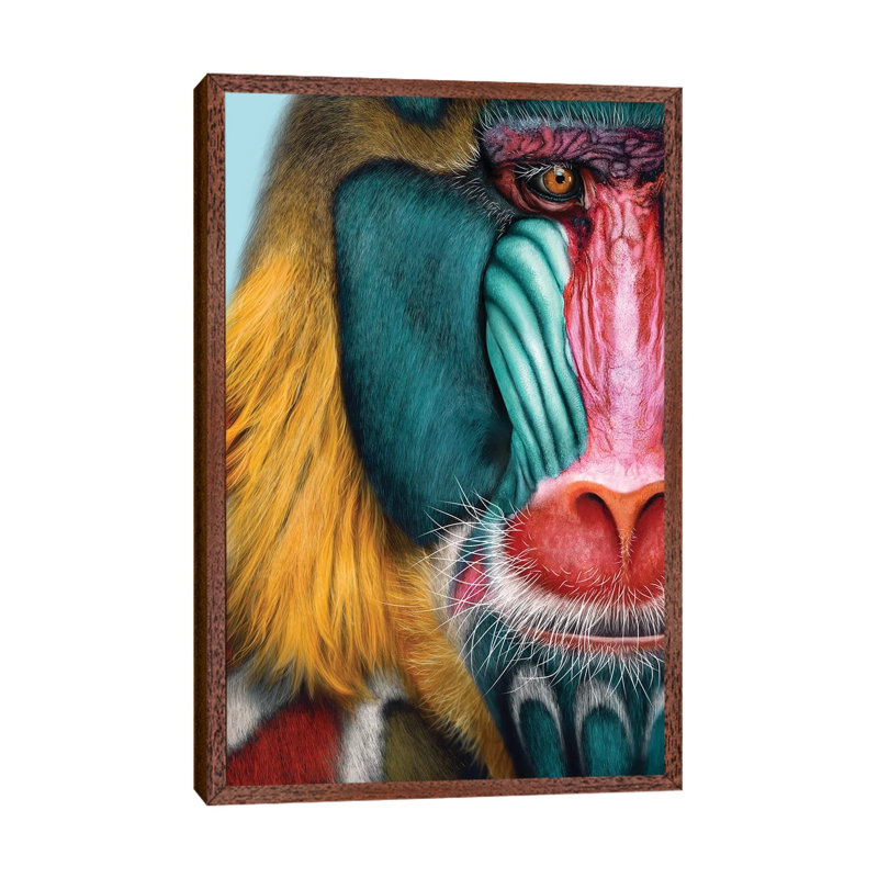 Mandrill by Giulio Rossi - Print on Canvas, 66.04 cm H x 45.72 cm W, Classic Brown Wood Framed Canvas