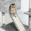 Ramsgate 210cm H Cat Tree-1460990619