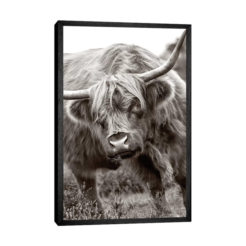 The Bull by Jacky Parker - Print on Canvas, Black Floater Framed, 66.04cm H x 45.72cm W x 3.81cm D