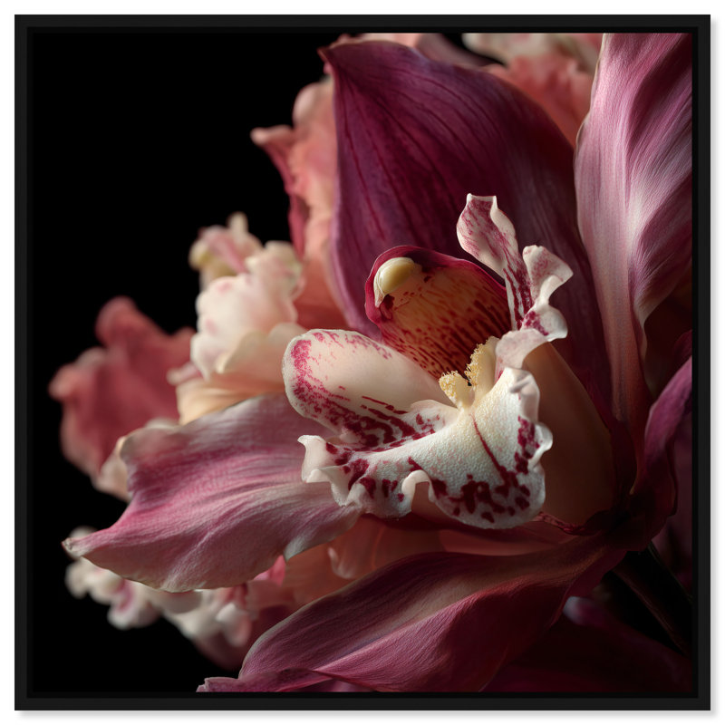 Velvet Labellum Print by Oliver Gal, 41"H x 41"W, Black Floater Frame