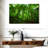 Alvord Basse-Terre Jungle-111839387