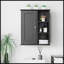 Armoire de rangement au-dessus de la toilette-22791073
