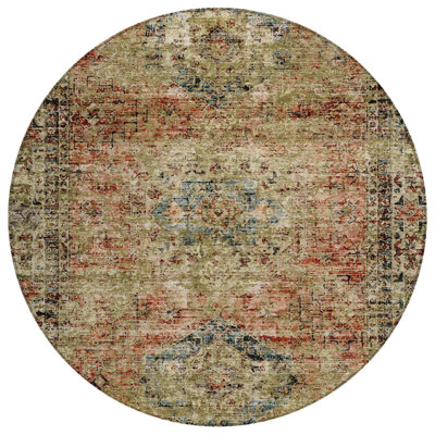 Machine Washable Indoor/Outdoor Labon ACN2170 Global Rug