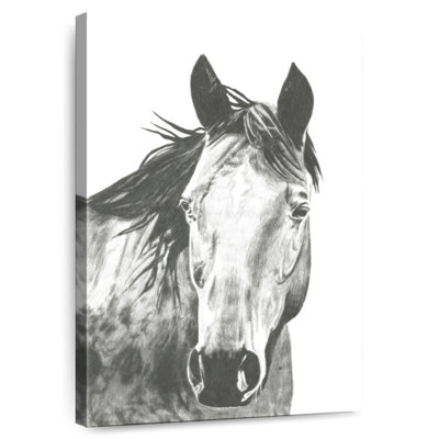 «Brampt Wildlife Snapshot Horse I»