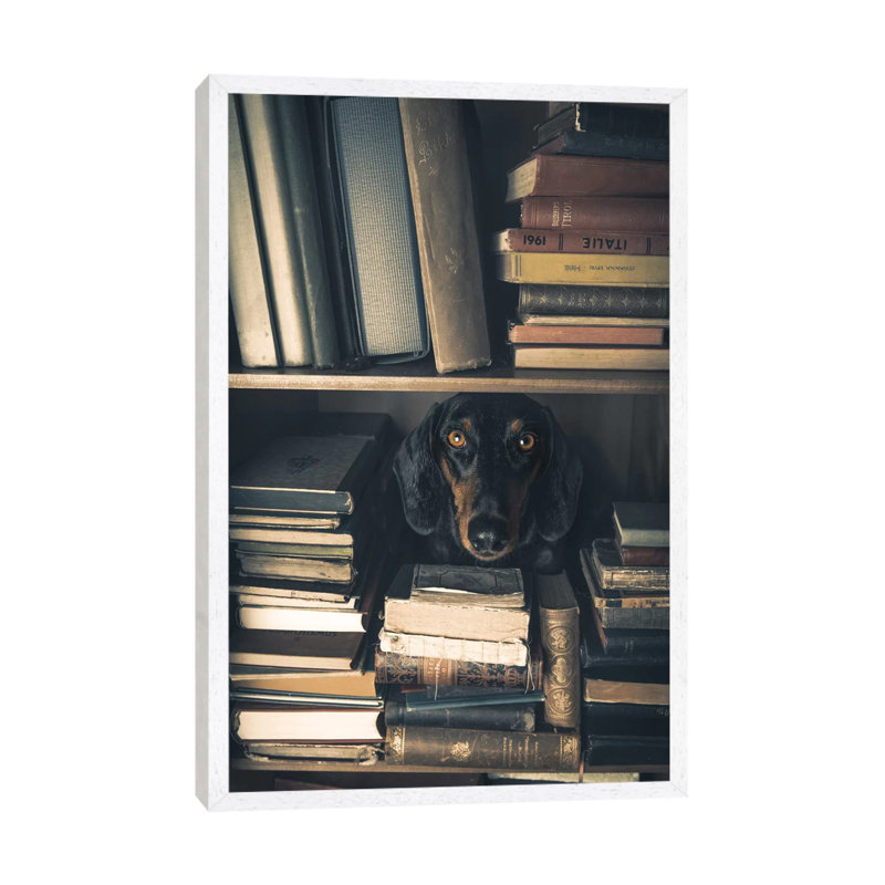 Der Kleine Bibliothekar - Little Librarian by Heike Willers - Print on Canvas, White Floater Framed