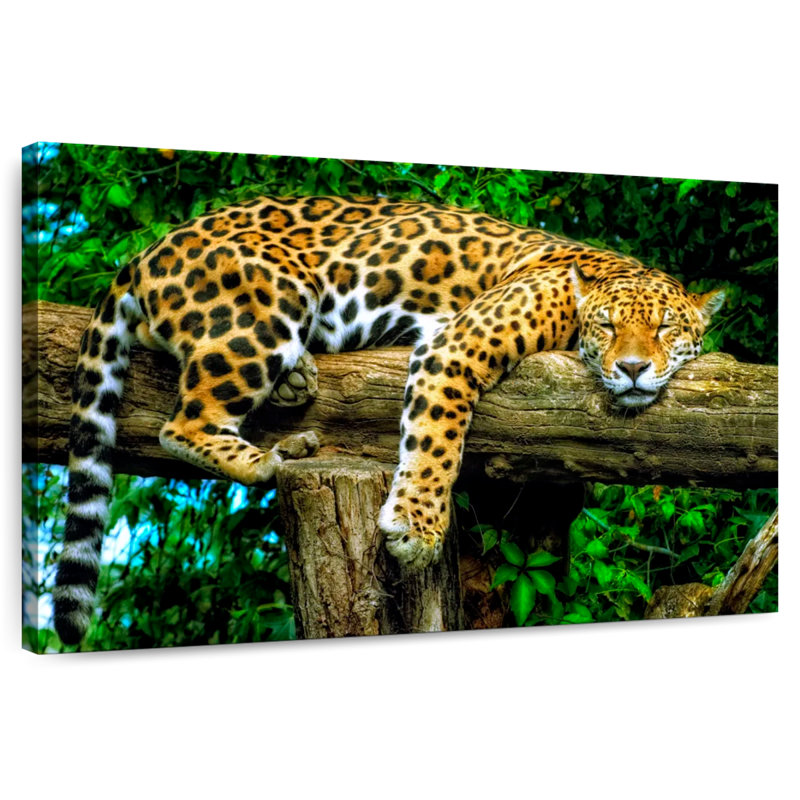 Brampt Sleepy Jaguar, 26" H x 39" W