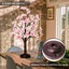 18-inch Pink Prelit Cherry Blossom Tree Lamp, Spring-inspired Lighted Peach Flower Tree With 8 Modes, Timer, Usb Or Battery Power – Perfect Valentine’s, Easter, Or Birthday Gift