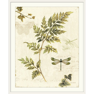 «Ivies and Ferns III» par Lisa Audit, impression