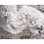 Burkart Shag Area Rug-1941308311