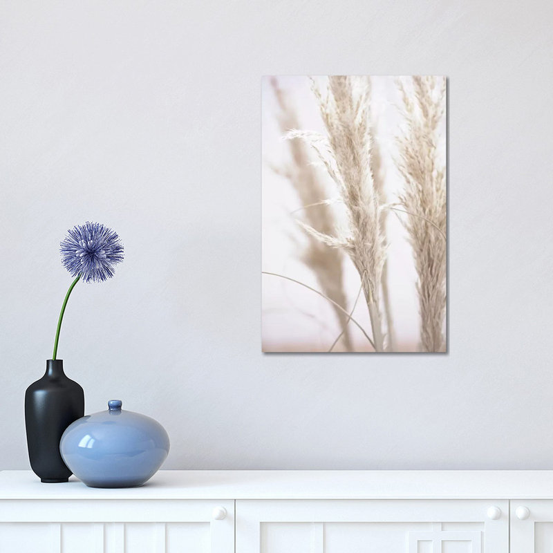 Pampas Reed I 1 Piece Wrapped Canvas Wall Art, 30.48 cm H x 45.72 cm W