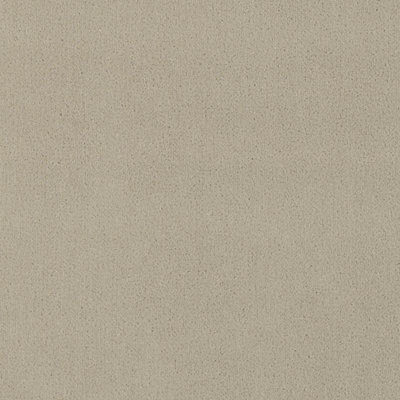 Tissu Blaine