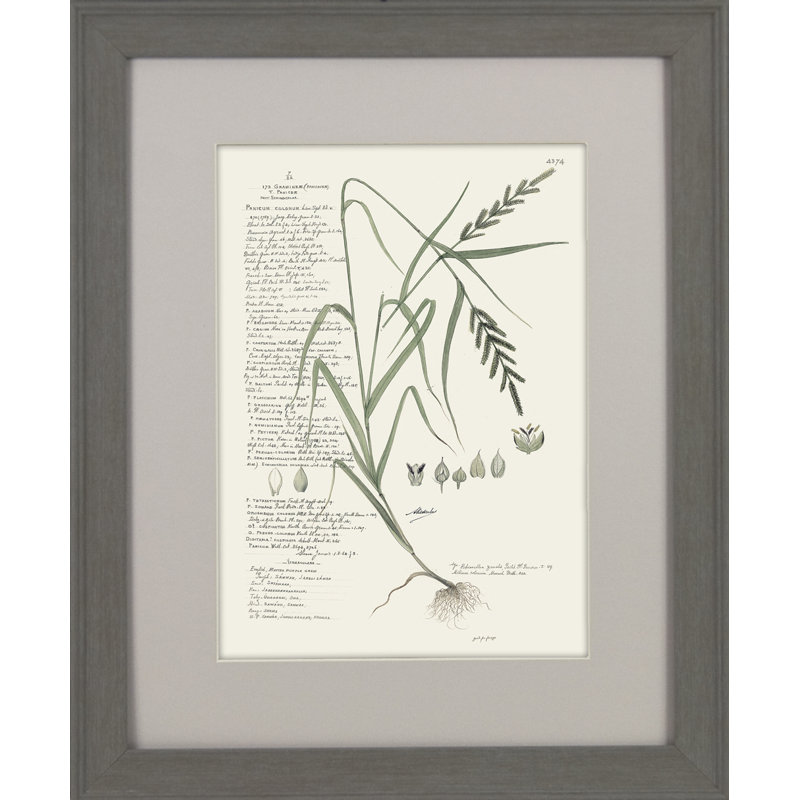 Single Picture Frame Print