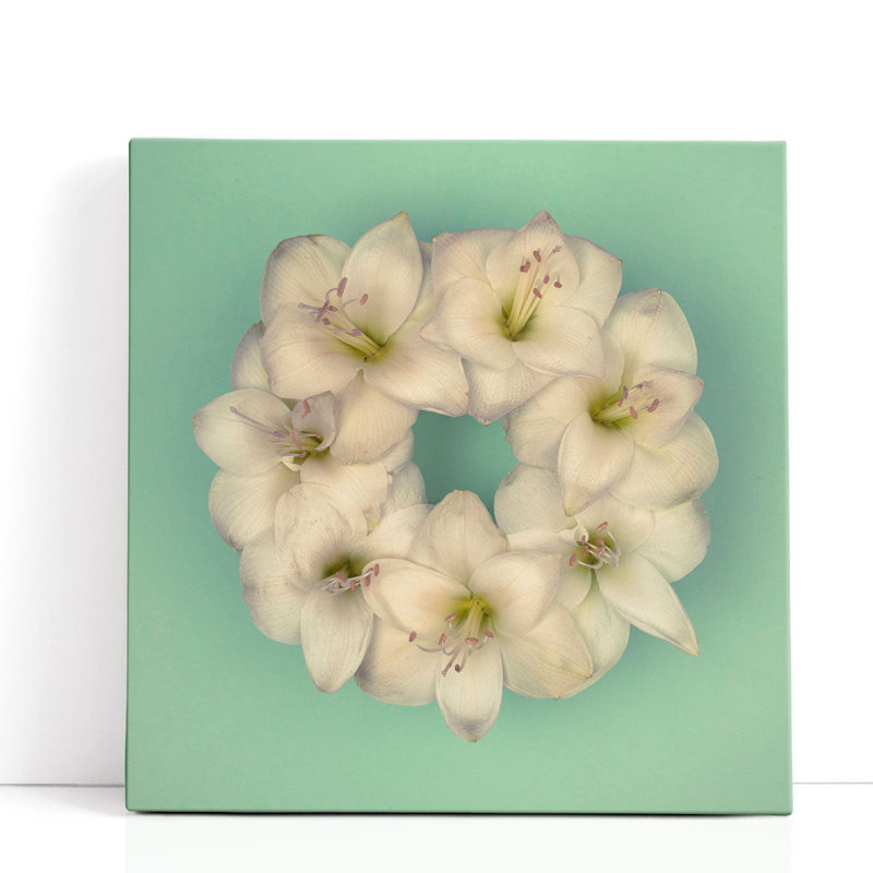 Amaryllis Flower Wreath 3 - reproduction d'art sur toile, H 12 po x l 12 po