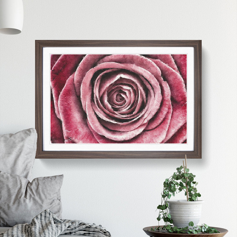 Pink Rose Flower Vol.2 - Framed Print, Walnut Framed, 27cm H x 36cm W x 2cm D