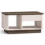 Coffee Table with Storage