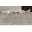 Oriental Area Rug in Gray