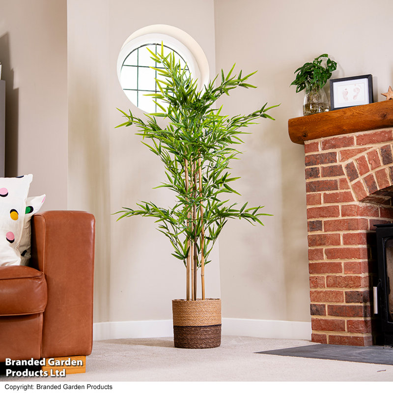 150cm Bamboo Tree in Pot