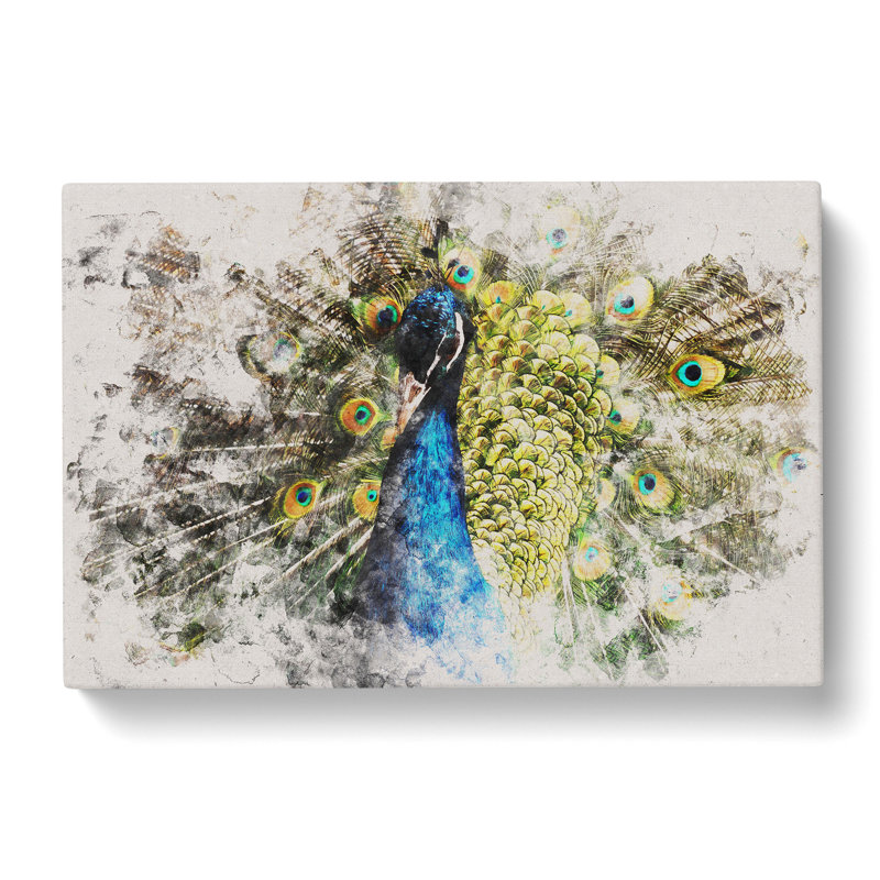 Peacock Vol.2 - Wrapped Canvas, 35cm H x 50cm W x 3cm D