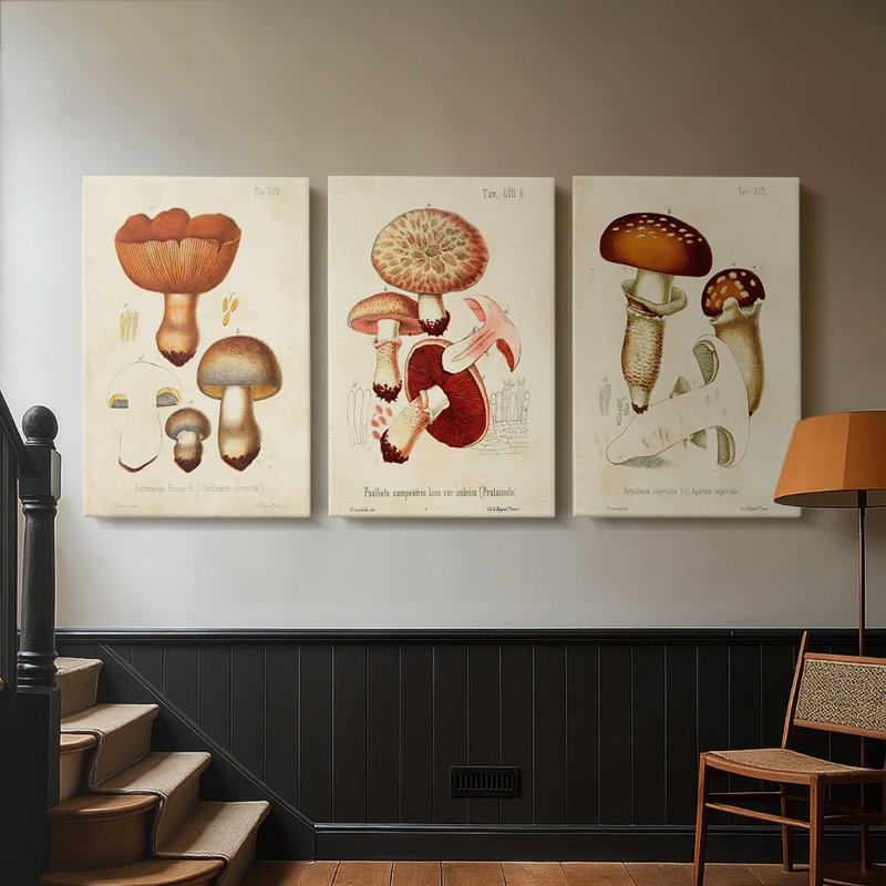 Mushroom Variétés I - Toile tendue sur mesure avec châssis - 3 pièces, H 27 po x l 54 po