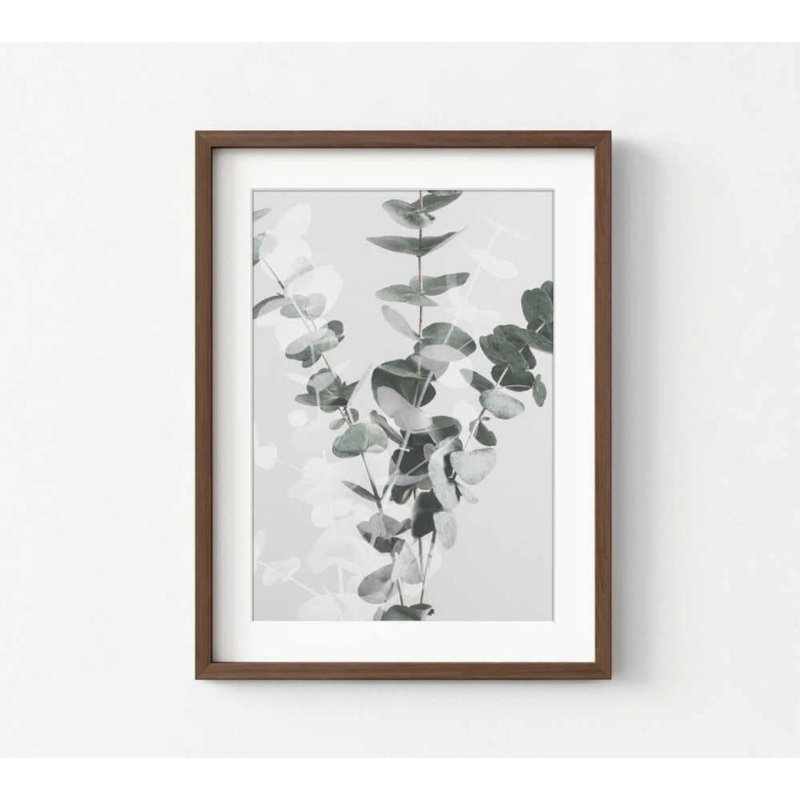 Reproduction d'art botanique murale: Eucalyptus vert doux - décor naturel moderne, Brun, Blanc, H 8 po x l 10 po