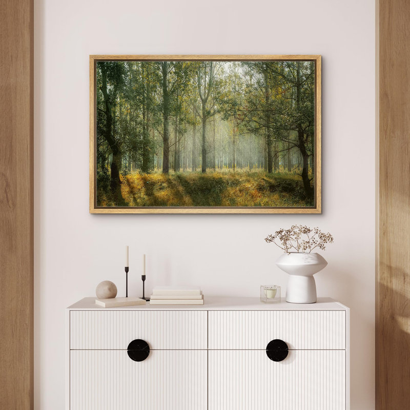 Paysage naturel «Summer Vibrant Tree Forest» sur, Cadre flottant naturel, H 16 po x l 24 po