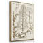 " Sepia Botanical Journal IV " 3 - Pieces-91891571-91891576