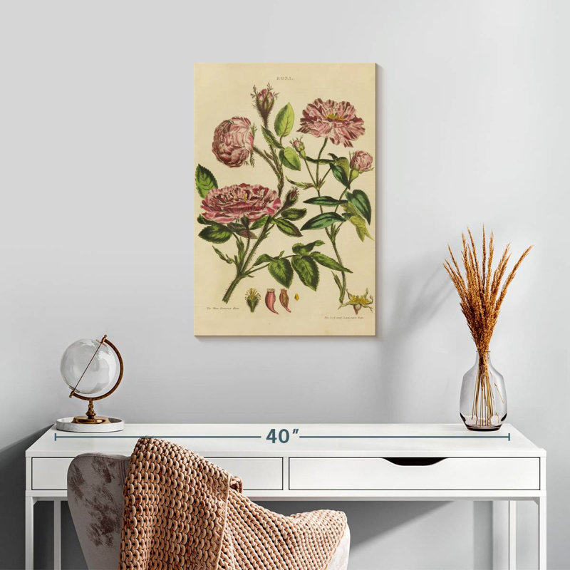 Harnek Herbal Botanical XVII, 24" H x 16" W